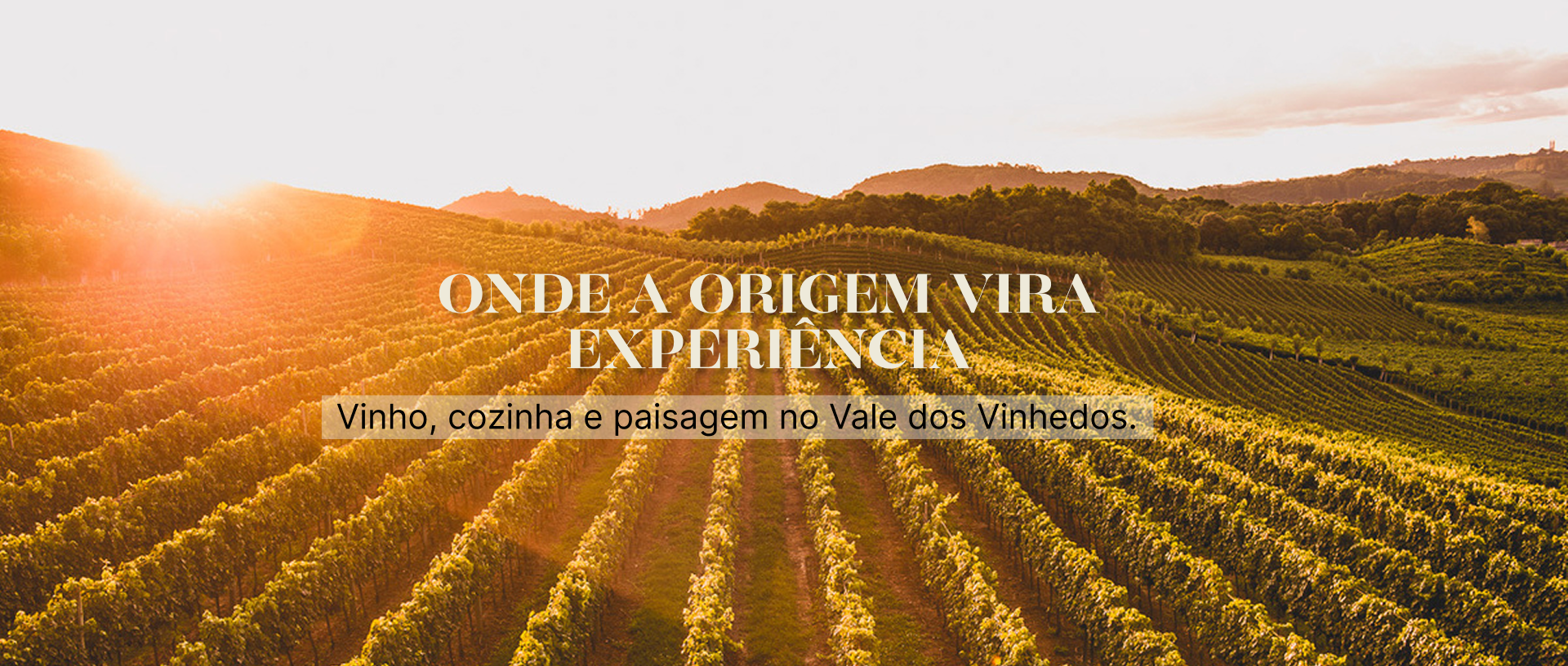 Paulo Geremia Vino e Cucina