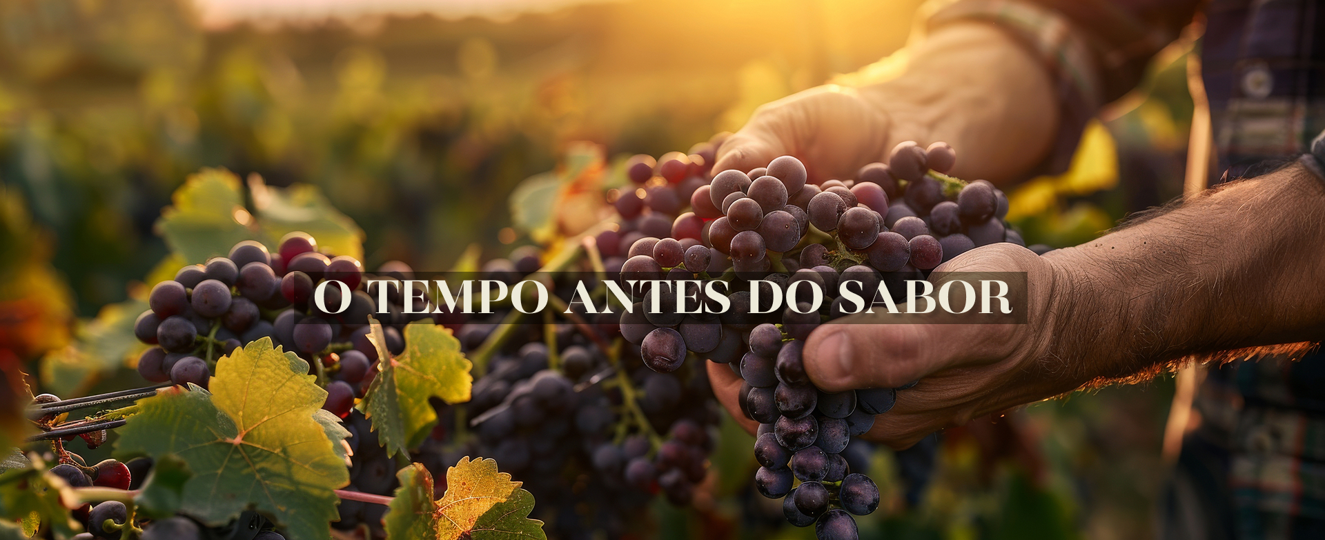 Paulo Geremia Vino e Cucina